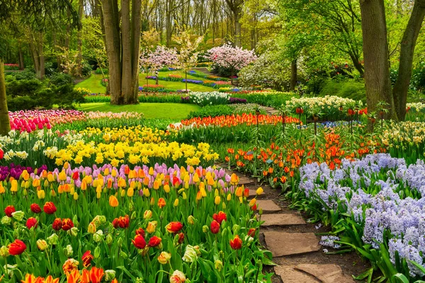 Jardín de primavera formal — Foto de Stock