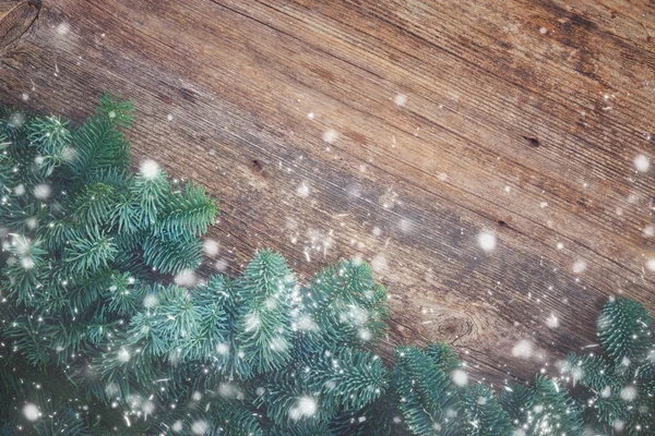 Vers evergreen kerstboom takken — Stockfoto