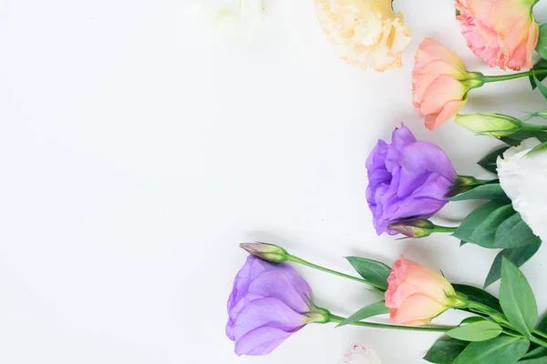 Pembe, beyaz ve mor çiçekler — Stok fotoğraf