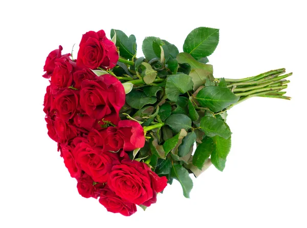 Rote blühende Rosen — Stockfoto