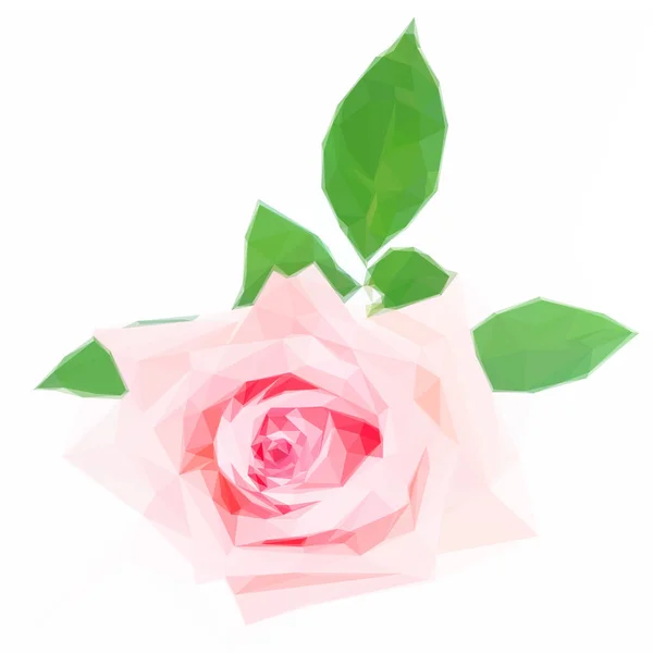 분홍빛 꽃피는 장미 — 스톡 벡터