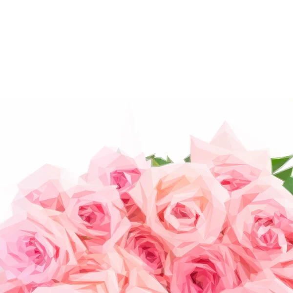 Roses roses en fleurs — Image vectorielle