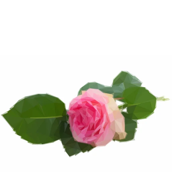 一个粉红色的玫瑰，绿色的叶子 — 图库矢量图片