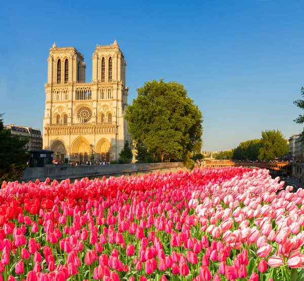 Catedral de Notre Dame, París Francia — Foto de Stock