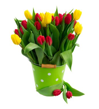Sarı, mor ve kırmızı lale buketi
