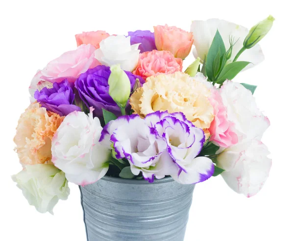 Růžové, bílé a fialové květy — Stock fotografie