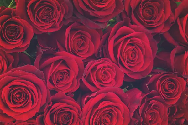 Букет з темно-червоних троянд — стокове фото