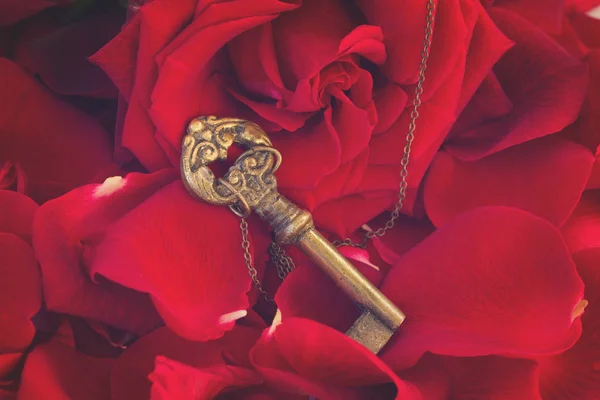 Cheia cu inima ca simbol al iubirii — Fotografie, imagine de stoc