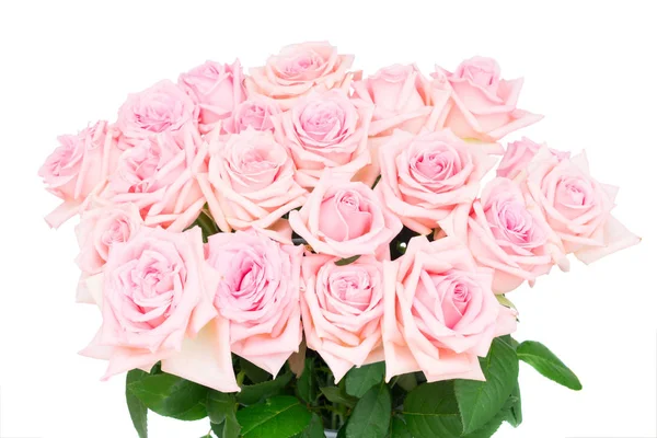 Vaaleanpunaiset ruusut — kuvapankkivalokuva