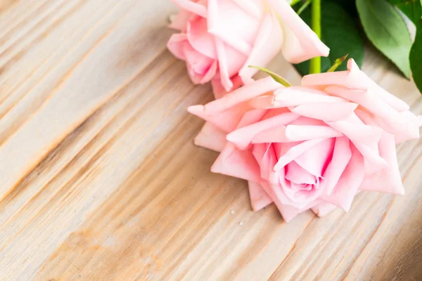 Pink blooming roses on wood — Stock Photo, Image