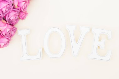 Sevgililer günü Menekşe gül