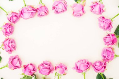 Sevgililer günü Menekşe gül