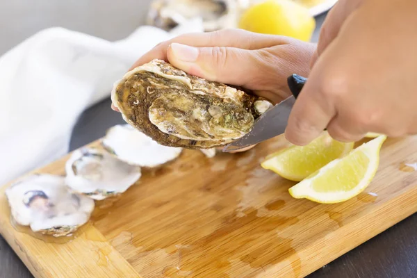 Rauwe oesters schelpen — Stockfoto