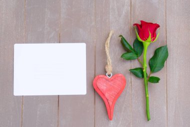 Kırmızı gül natürmort