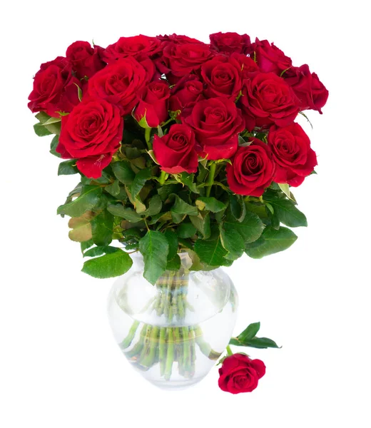 盛开的红玫瑰 — 图库照片
