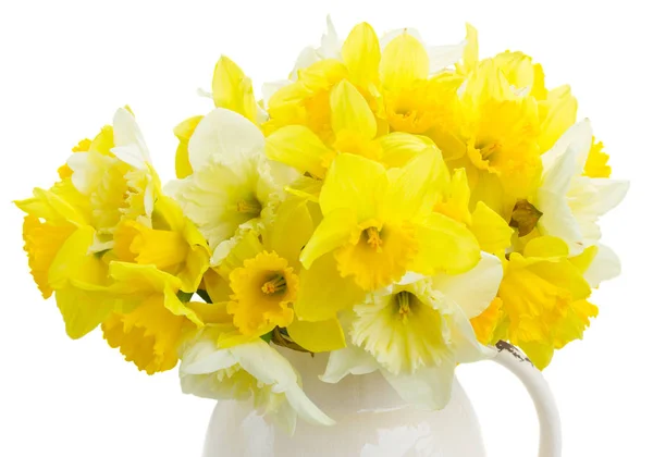 Narcissus in vase — Stock Photo, Image