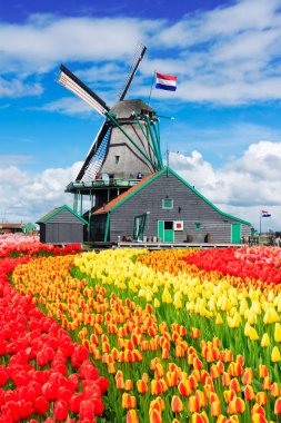 Hollanda rüzgar değirmenleri