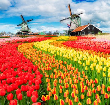 Hollanda rüzgar değirmenleri