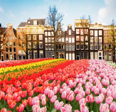 Hollanda, Amstardam 'ın Evleri