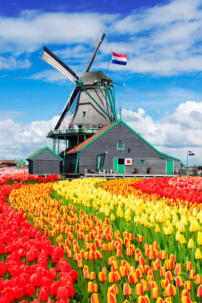 Dutch wind mills