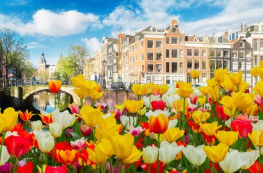Hollanda, Amstardam 'ın Evleri