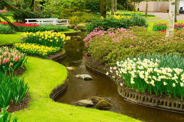 Spring pond in garden — Stock Photo, Image