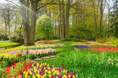 Resmi bahar bahçesi