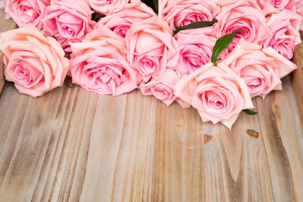 Rosa rosas florescendo na madeira — Fotografia de Stock