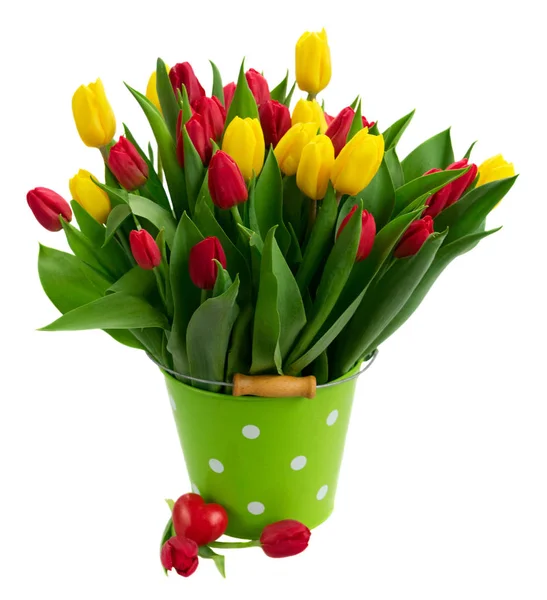 Bouquet di tulipani gialli, viola e rossi — Foto Stock