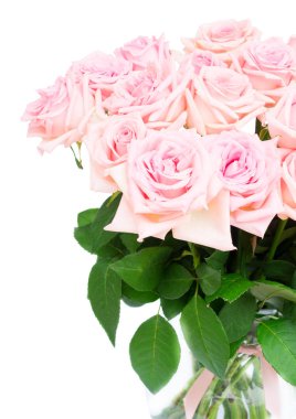 Pembe çiçek açan güller