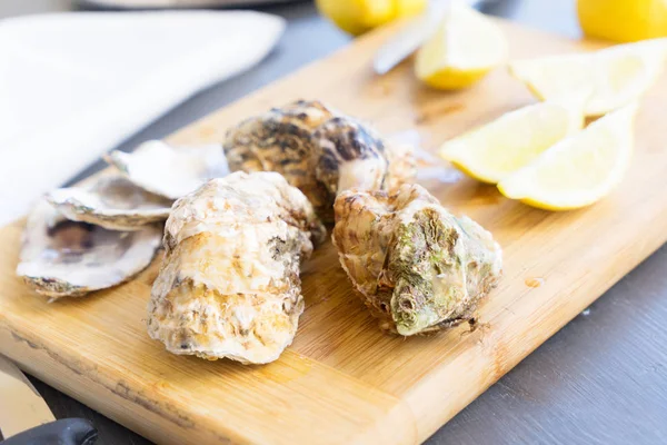 Rauwe oesters schelpen — Stockfoto