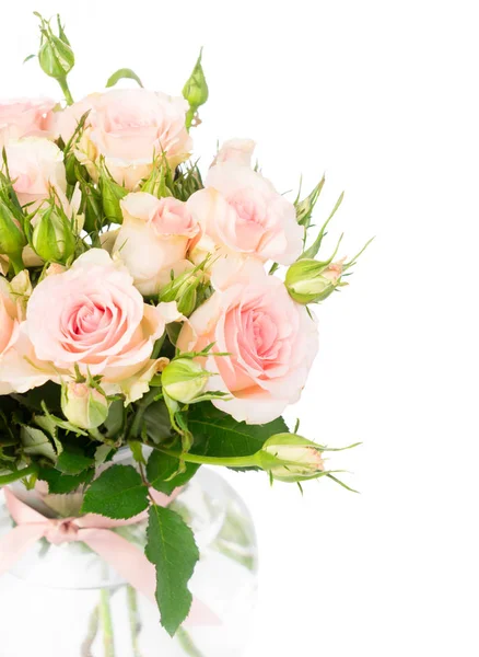 Veilchen blühende Rosen — Stockfoto