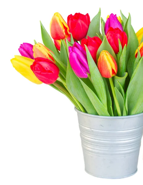 Bouquet of yellow, purple and red tulips — Stock Photo, Image