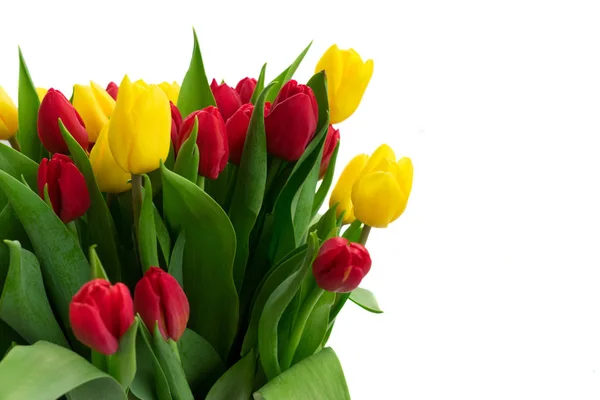 Strauss aus gelben, lila und roten Tulpen — Stockfoto