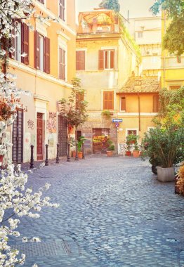 sokakta Trastevere, Roma, İtalya