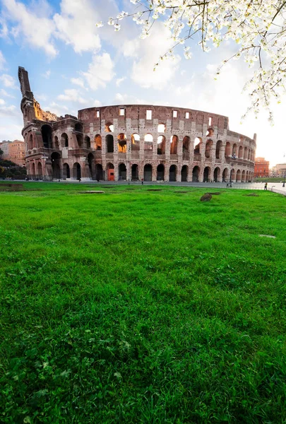 Colosseum vid solnedgången i Rom, Italien — Stockfoto