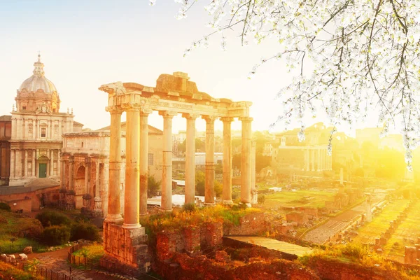 Forum - Roman ruins in Rome, Italy — Stock Photo, Image