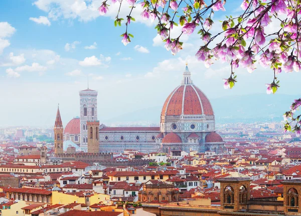 Kathedrale Santa Maria del Fiore, Florenz, Italien — Stockfoto