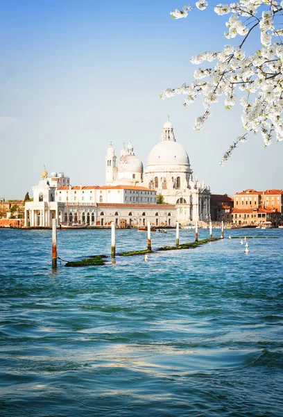 Βασιλική Santa Maria della Salute, Βενετία, Ιταλία — Φωτογραφία Αρχείου