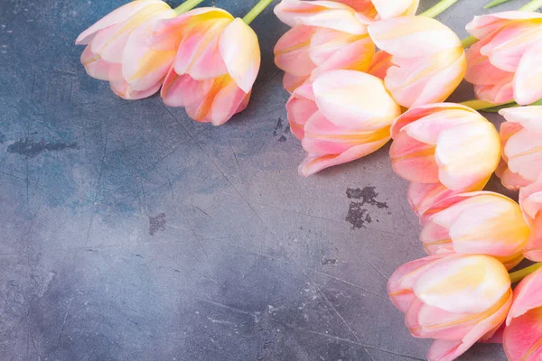 Rosa och gula tulpaner — Stockfoto