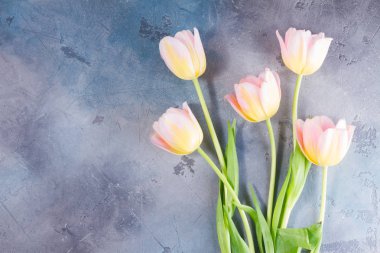 pembe ve sarı laleler