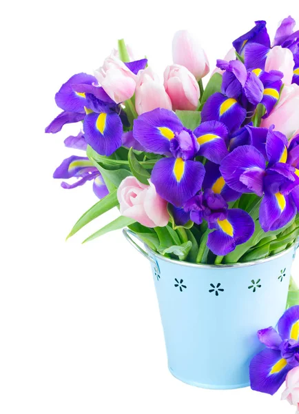 Iris bleus et tulipes de brochet — Photo