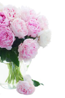 Taze şakayık çiçekleri