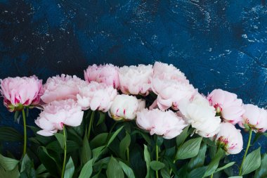 Taze peonies mavi