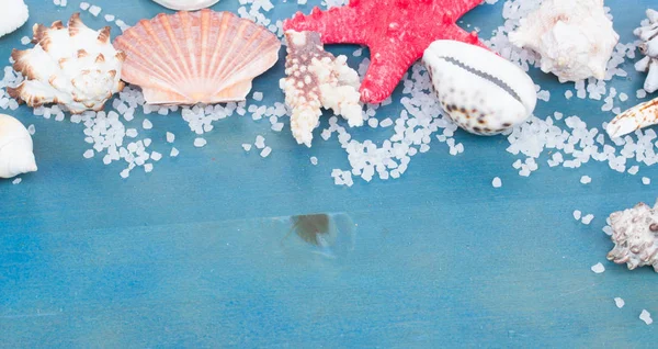 Border os sea star and shells — Stock Photo, Image