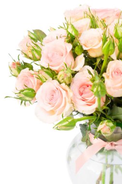 Mor çiçek açan güller