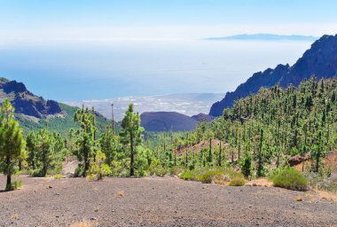 Tenerife kayalıklarla Adası