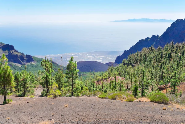 Klippen der Insel Teneriffa — Stockfoto