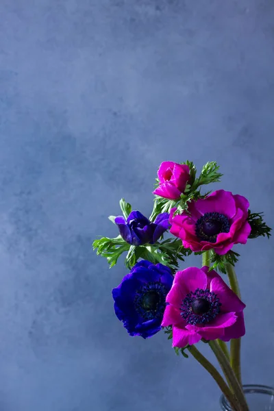 Anêmonas flores no fundo de pedra — Fotografia de Stock