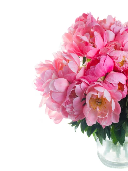 Fiori di peonia freschi — Foto Stock